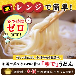 どんまい うどん 讃岐うどん 讃岐のカレーうど...の詳細画像2