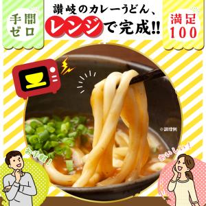 どんまい うどん 讃岐うどん 讃岐のカレーうど...の詳細画像5