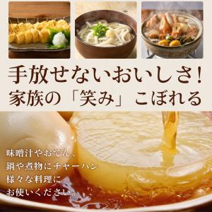 だしパック 30包 送料無料 得トクセール 食...の詳細画像1