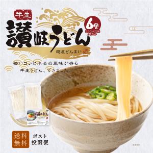 半生うどん 6食 （300g×2）麺のみ 讃岐うどん ポイント利用