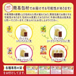 サタプラ紹介 冷やし中華 5食 6食 さわやか...の詳細画像1