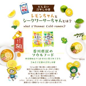 サタプラ紹介 冷やし中華 5食 6食 さわやか...の詳細画像5