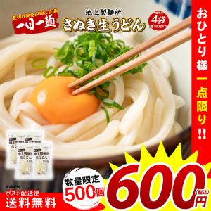 600円 どんまい 池上製麺所 讃岐生うどん 180g×4袋 麺...