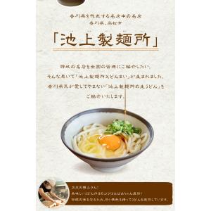 どんまい うどん 讃岐うどん 池上製麺所特製 ...の詳細画像4