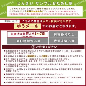 どんまい 500円 池上製麺所 讃岐生うどん ...の詳細画像2