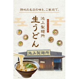 どんまい 500円 池上製麺所 讃岐生うどん ...の詳細画像3