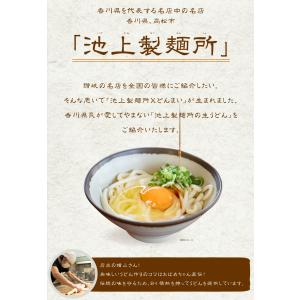 どんまい 500円 池上製麺所 讃岐生うどん ...の詳細画像4