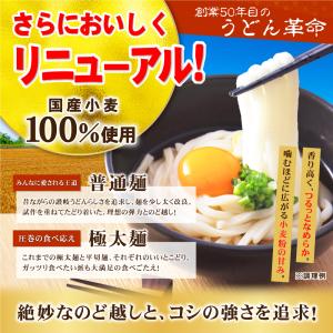どんまい 讃岐うどん ポイント消化 生うどん ...の詳細画像1