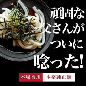 どんまい 讃岐うどん ポイント消化 生うどん ...の詳細画像2