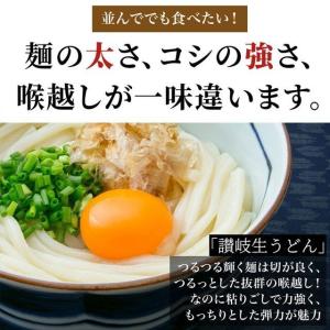 どんまい 讃岐うどん ポイント消化 生うどん ...の詳細画像3