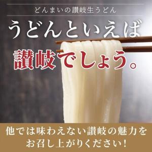 どんまい 讃岐うどん ポイント消化 生うどん ...の詳細画像4