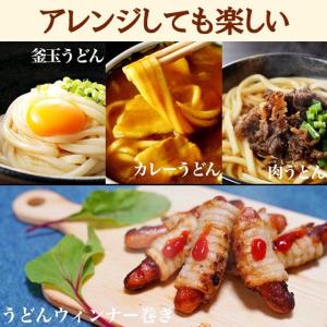どんまい 讃岐うどん ポイント消化 生うどん ...の詳細画像5