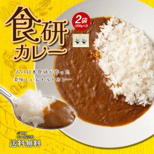 食研カレー 2食(200g×2)　送料無料 日本食研 中辛 レトルトカレー 食べ物 食品 お試し ポイント消化 グルメ 非常食 保存食 洋食 簡単 便利 時短 メール便｜banya