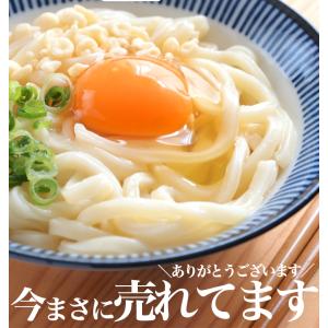 どんまい うどん 讃岐うどん 3種から選べる ...の詳細画像1