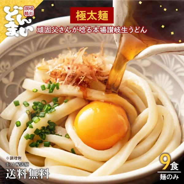 数量限定 500円 セール 讃岐うどん 極太麺 9食 (300g×3袋) 送料無料 うどん 生うどん...
