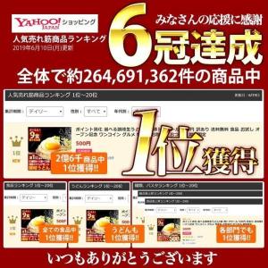 送料無料 うどん 讃岐うどん 3種から選べる ...の詳細画像3