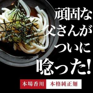 どんまい 讃岐うどん 生うどん 9食 麺のみ(...の詳細画像2