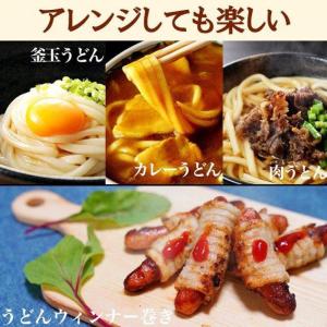 どんまい 讃岐うどん 生うどん 9食 麺のみ(...の詳細画像5