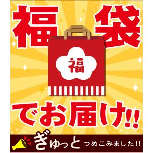 訳あり福袋セット 讃岐うどん 送料無料(北海道...の詳細画像4