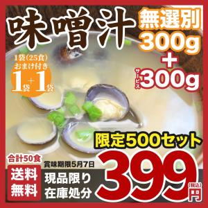 訳あり 在庫処分 味噌汁 無選別 風袋込み 約50食分(300g×1袋+おまけ1袋付き)  味噌汁 あさり しじみ わかめ 玉ねぎ 油揚げ 5種類 混合 不均一入 送料無料
