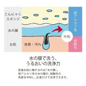 こんにゃくスポンジ つやの玉 2個入 日本製 ...の詳細画像4