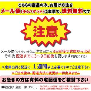 【お届け方法メール便で送料無料】エプロン H型...の詳細画像1