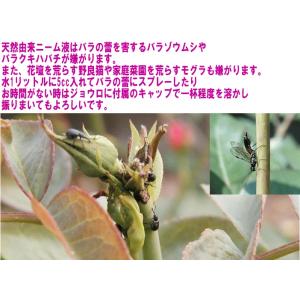 高純度ニームオイル AZグリーン原液 250c...の詳細画像2
