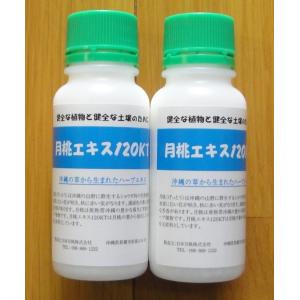 月桃エキス120ＫＴ　100ミリリットル２本組　　花、ガーデニング用品