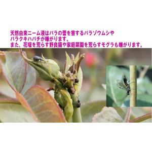 高純度ニームオイル お徳用/ AZグリーンHタ...の詳細画像1