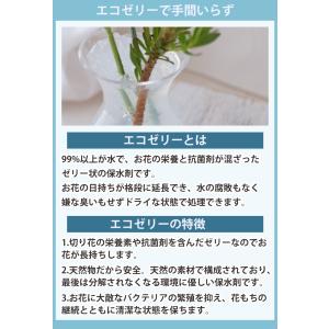 そのままブーケ 誕生日 プレゼント 花束 スタ...の詳細画像4