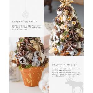 クリスマス インテリア 置物 お祝い お花 誕...の詳細画像2