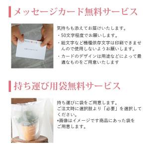 クリスマス インテリア 置物 お祝い お花 誕...の詳細画像5