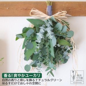 オリーブ スワッグ おしゃれ インテリア 玄関 壁飾り 風水 生花 ドライ