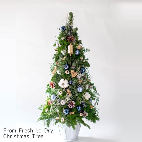 もみの木のクリスマスツリー クリスマス オーナメント 飾り 誕生日 お祝い 贈り物 インテリア おし...