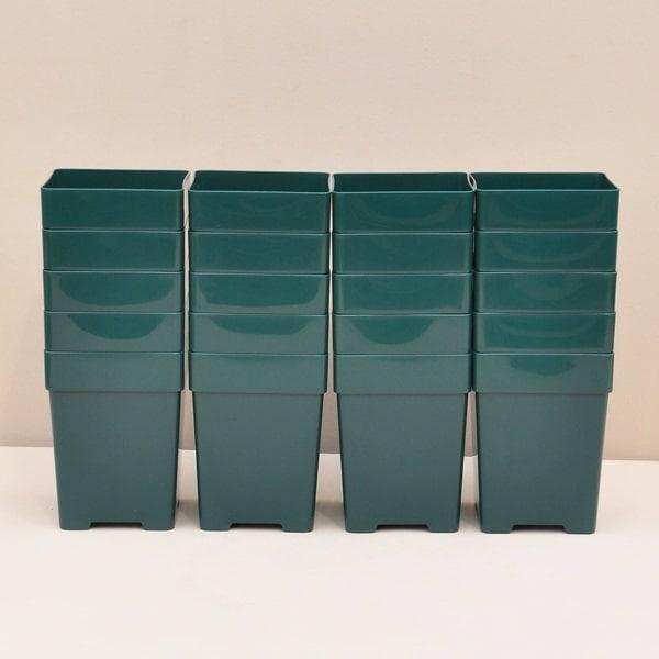 【6角×20鉢セット】ロサオリエンティス コレクターズポット 6号角深鉢20鉢セット【プレミアローズ...