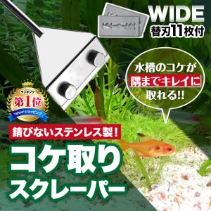 レビューを書いてメール便送料無料 ブラシクリーナー 水槽 パイプクリーナー ホース チューブブラシ アクアリウム ワイヤーブラシ 水槽 掃除 アーム 熱帯魚 Ke0584 Kedukaヤフー店 通販 Yahoo ショッピング