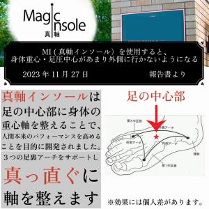 【最新版】真軸インソール プラス アーチサポー...の詳細画像5