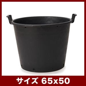 大型ポット ナーセリーポット ハンドル付 55 : 植木鉢