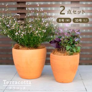 訳あり 植木鉢 おしゃれ 横線入り 角 深型 素焼き鉢 テラコッタ 大小2