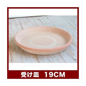 植木鉢　テラコッタ　ソーサー　アリーナ/テラ・グラフィアート　19