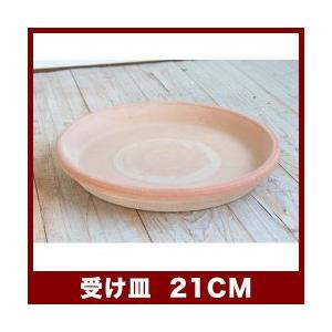 植木鉢　テラコッタ　ソーサー　アリーナ/テラ・グラフィアート　21