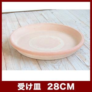 植木鉢　テラコッタ　ソーサー　アリーナ/テラ・グラフィアート　28