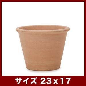 植木鉢　テラコッタ　ヴァッソ　アリーナ　8号｜bargepot