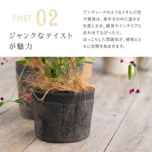 植木鉢 陶器鉢 モスポット 700 3号の詳細画像3