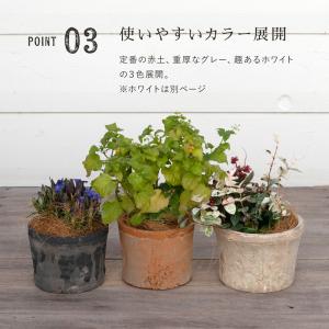 植木鉢 陶器鉢 モスポット 700 3号の詳細画像4