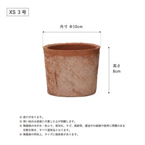 植木鉢 陶器鉢 モスポット 700 3号の詳細画像5
