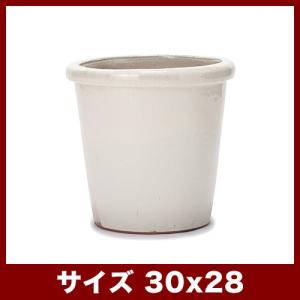 植木鉢　陶器鉢　ヴィトロ　データム　クリーム　10号　単品皿なし