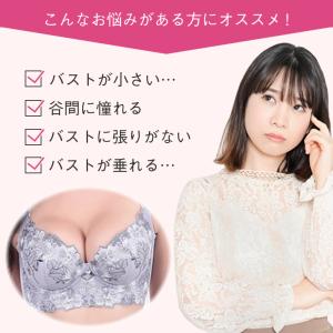 ブラジャー ショーツ セット 脇高 大きい レ...の詳細画像5