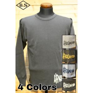 コリンボ COLIMBO 長袖Tシャツ ZY-0446 L/S Tee A.N.GUARO エアーナ...