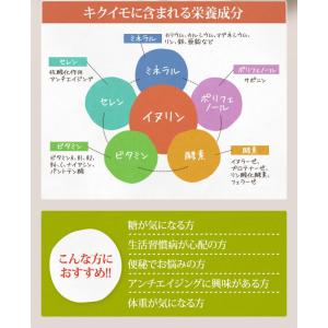 菊芋チップス 200g 熊本県産 無添加 無農薬の詳細画像1